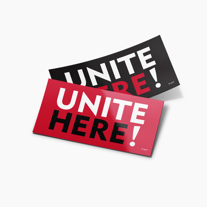 Logo Bumper Sticker Combo